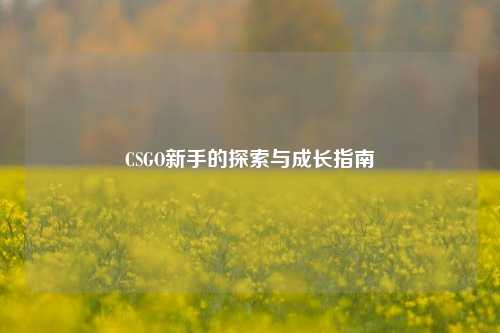 CSGO新手的探索与成长指南