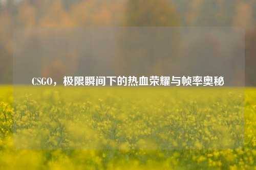 CSGO，极限瞬间下的热血荣耀与帧率奥秘