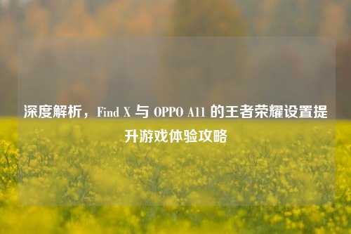 深度解析，Find X 与 OPPO A11 的王者荣耀设置提升游戏体验攻略