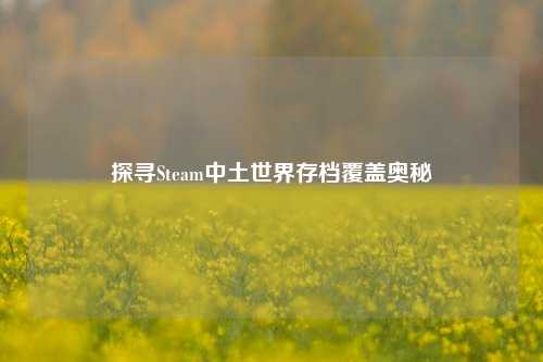 探寻Steam中土世界存档覆盖奥秘