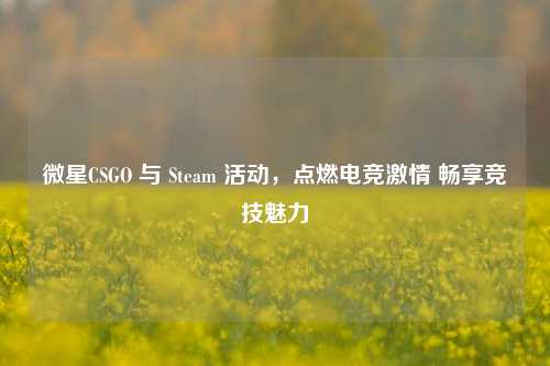 微星CSGO 与 Steam 活动，点燃电竞激情 畅享竞技魅力