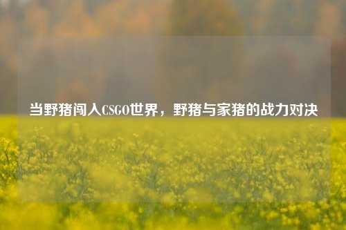 当野猪闯入CSGO世界，野猪与家猪的战力对决