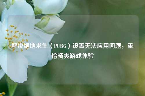 解决绝地求生（PUBG）设置无法应用问题，重拾畅爽游戏体验