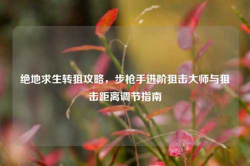 绝地求生转狙攻略，步枪手进阶狙击大师与狙击距离调节指南