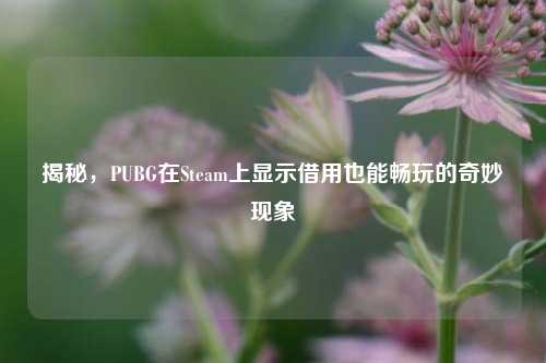 揭秘，PUBG在Steam上显示借用也能畅玩的奇妙现象