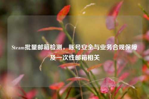 Steam批量邮箱检测，账号安全与业务合规保障及一次性邮箱相关