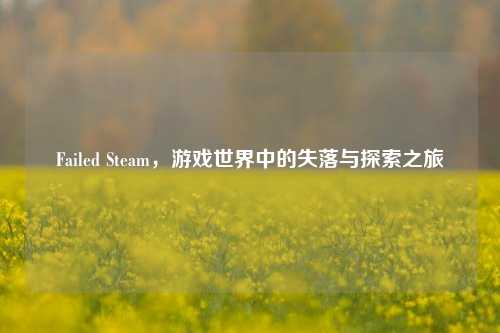 Failed Steam,游戏世界中的失落与探索之旅