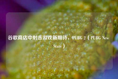 谷歌商店中射击游戏新期待，PUBG 2（PUBG New State）