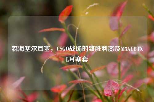 森海塞尔耳塞，CSGO战场的致胜利器及M3AEBTXL耳塞套