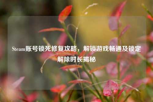 Steam账号锁死修复攻略，解锁游戏畅通及锁定解除时长揭秘