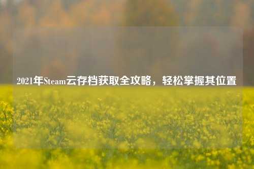 2021年Steam云存档获取全攻略，轻松掌握其位置