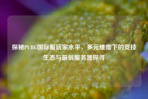 探秘PUBG国际服玩家水平，多元维度下的竞技生态与最弱服务器探寻