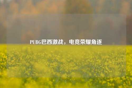 PUBG巴西激战，电竞荣耀角逐
