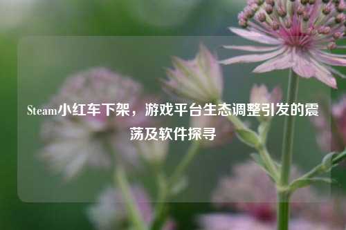 Steam小红车下架，游戏平台生态调整引发的震荡及软件探寻