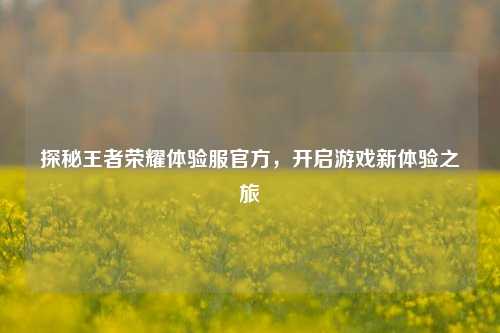 探秘王者荣耀体验服官方，开启游戏新体验之旅
