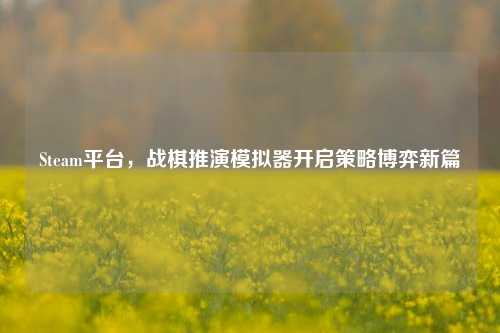 Steam平台，战棋推演模拟器开启策略博弈新篇