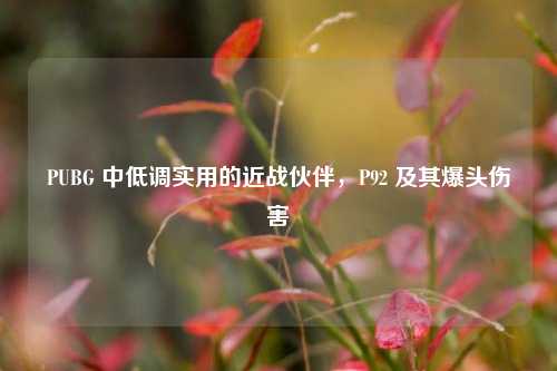 PUBG 中低调实用的近战伙伴，P92 及其爆头伤害