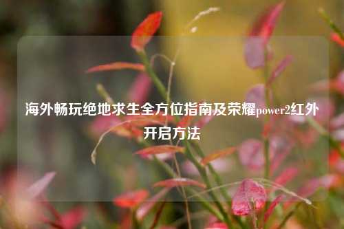 海外畅玩绝地求生全方位指南及荣耀power2红外开启方法