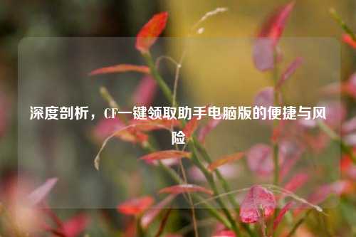 深度剖析，CF一键领取助手电脑版的便捷与风险