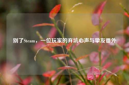 别了Steam，一位玩家的弃坑心声与挚友番外