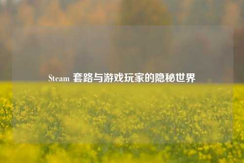 Steam 套路与游戏玩家的隐秘世界