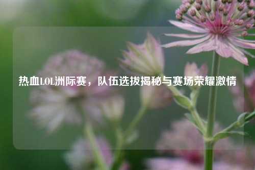 热血LOL洲际赛，队伍选拔揭秘与赛场荣耀激情