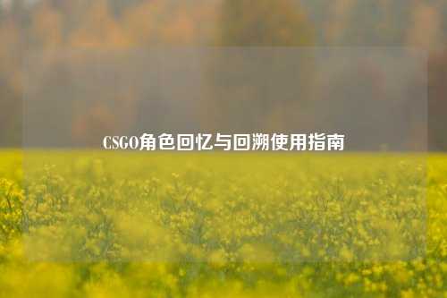 CSGO角色回忆与回溯使用指南