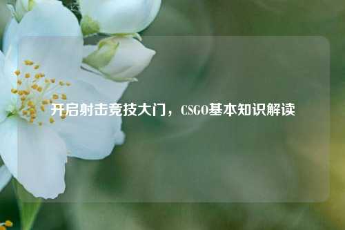 开启射击竞技大门，CSGO基本知识解读