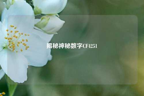 揭秘神秘数字CF4251