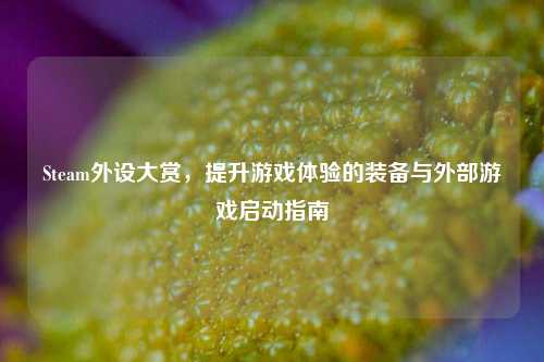 Steam外设大赏，提升游戏体验的装备与外部游戏启动指南